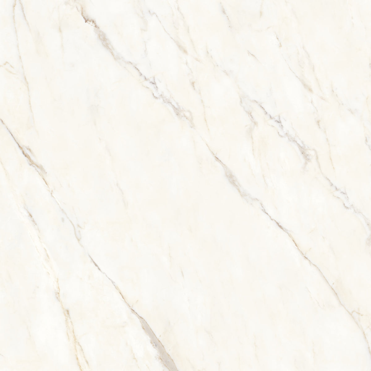 Bedrosians Magnifica Encore Slab 30.62" x 86" Shower Panels Honed Calacatta Oro