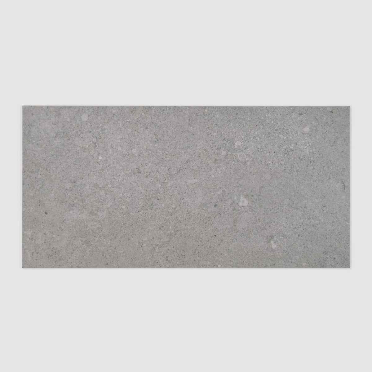 Bedrosians Ikonite 12" x 24" Honed Grey
