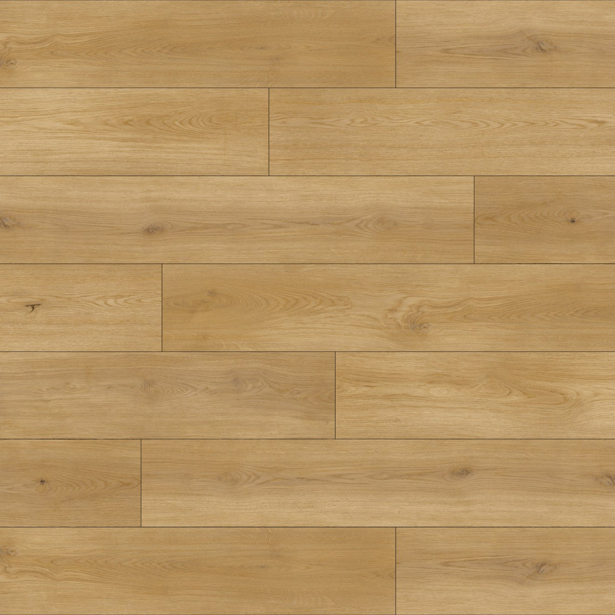 Bedrosians Woodland 9" x 60"  Luxury Vinyl Floor Goldenroad