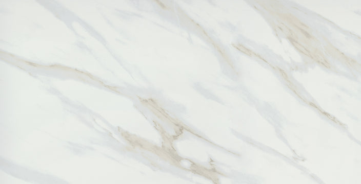 Emser Vara 24"x47" Matte Ribia
