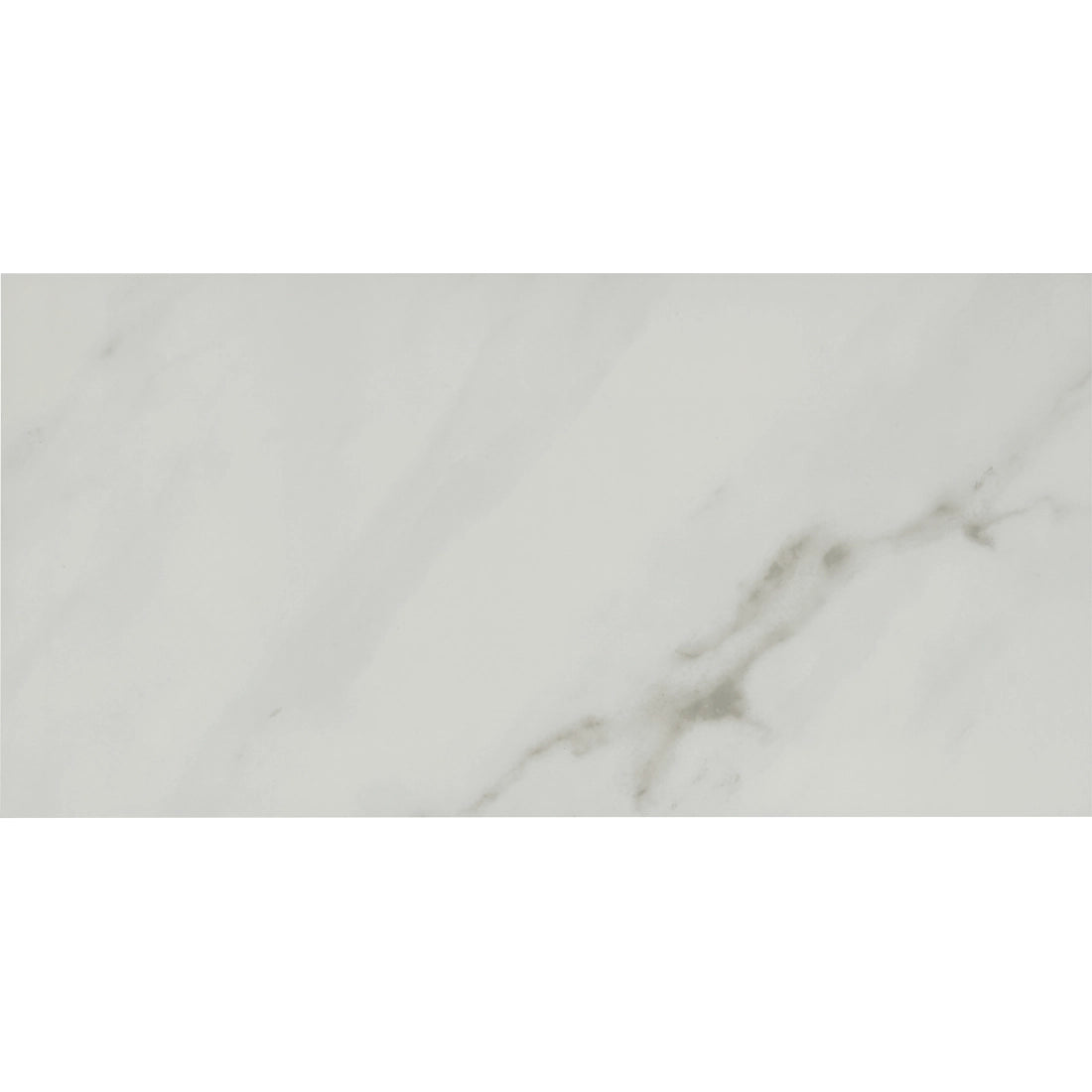 Tile Shop I Lenci 12x24 Polished White