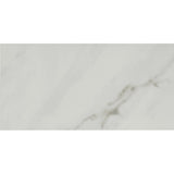 Tile Shop I Lenci 12x24 Polished White