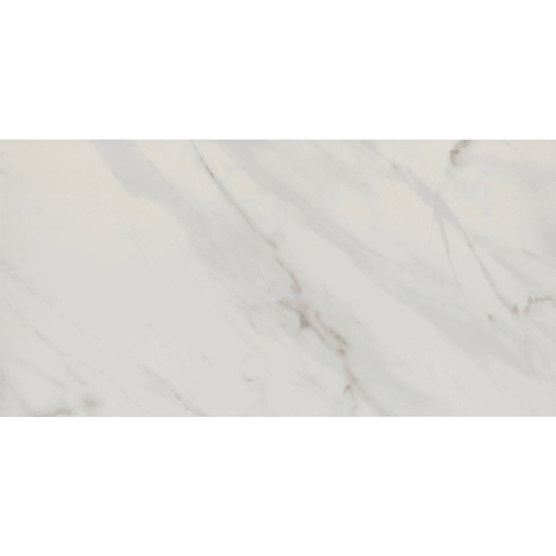 Tile Shop I Lenci 24x48 Polished White