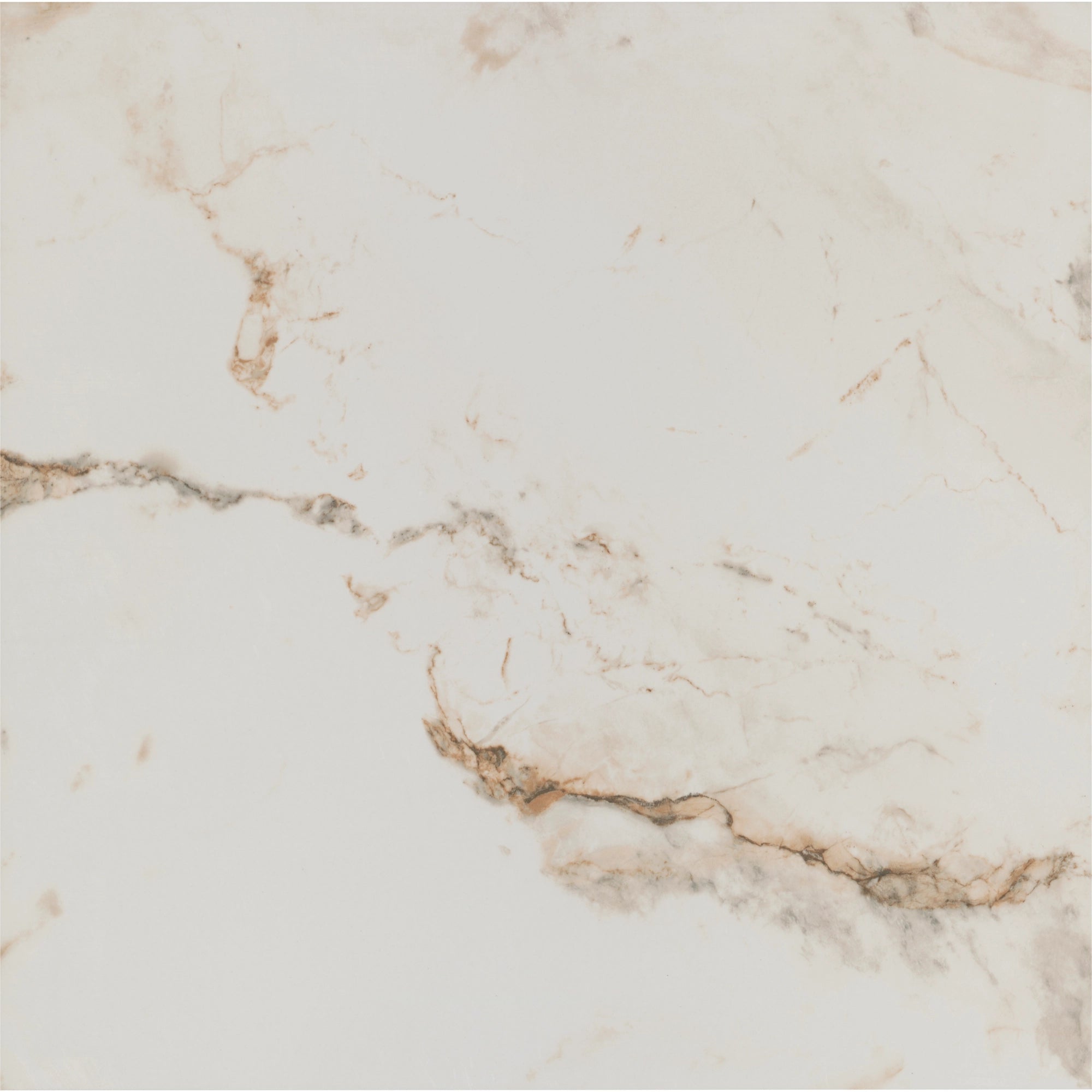 Tile Shop I Pisa 24x24 Polished Oro