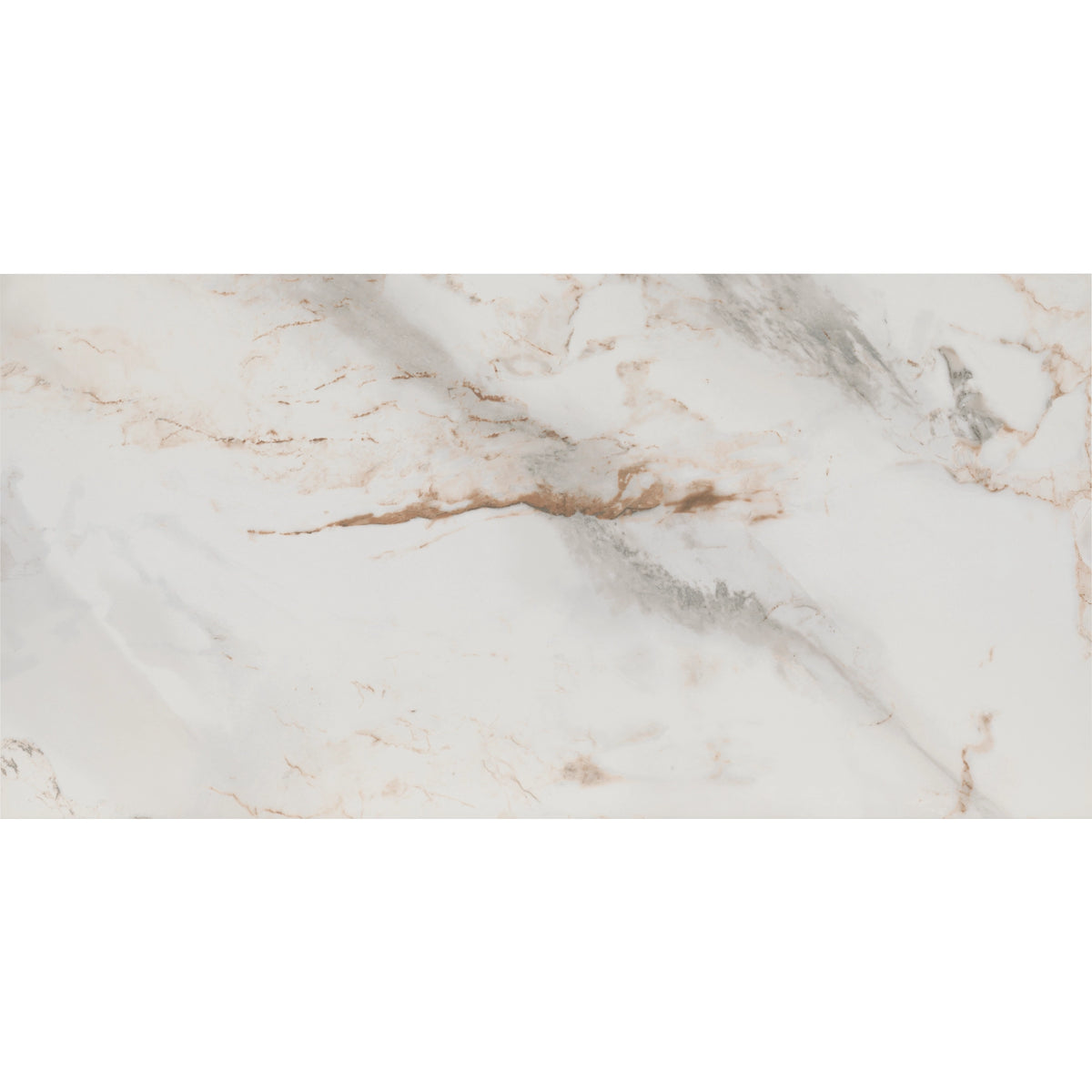 Tile Shop I Pisa 24x48 Polished Oro