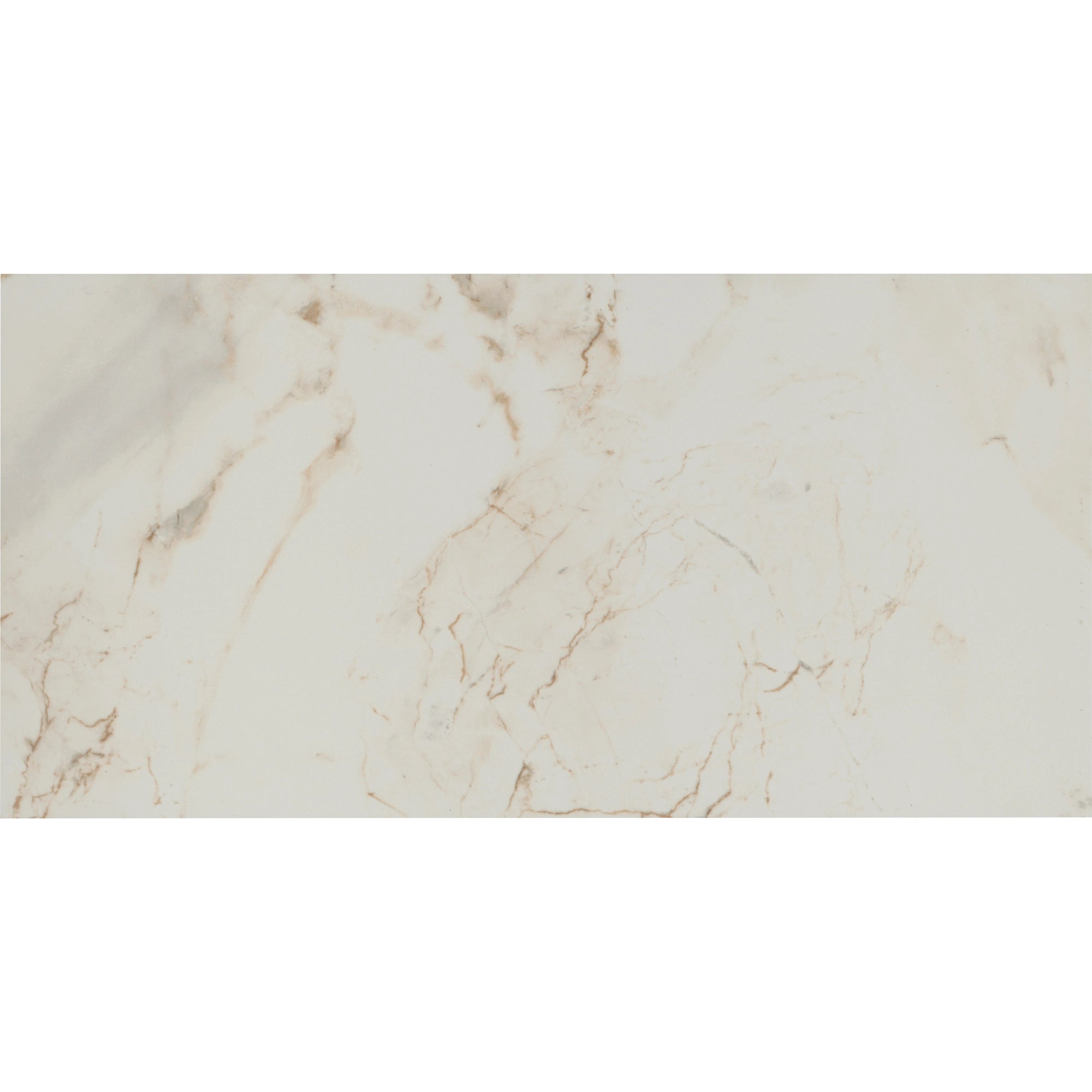 Tile Shop I Pisa 12x24 Matte Oro