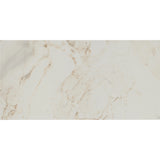 Tile Shop I Pisa 12x24 Matte Oro