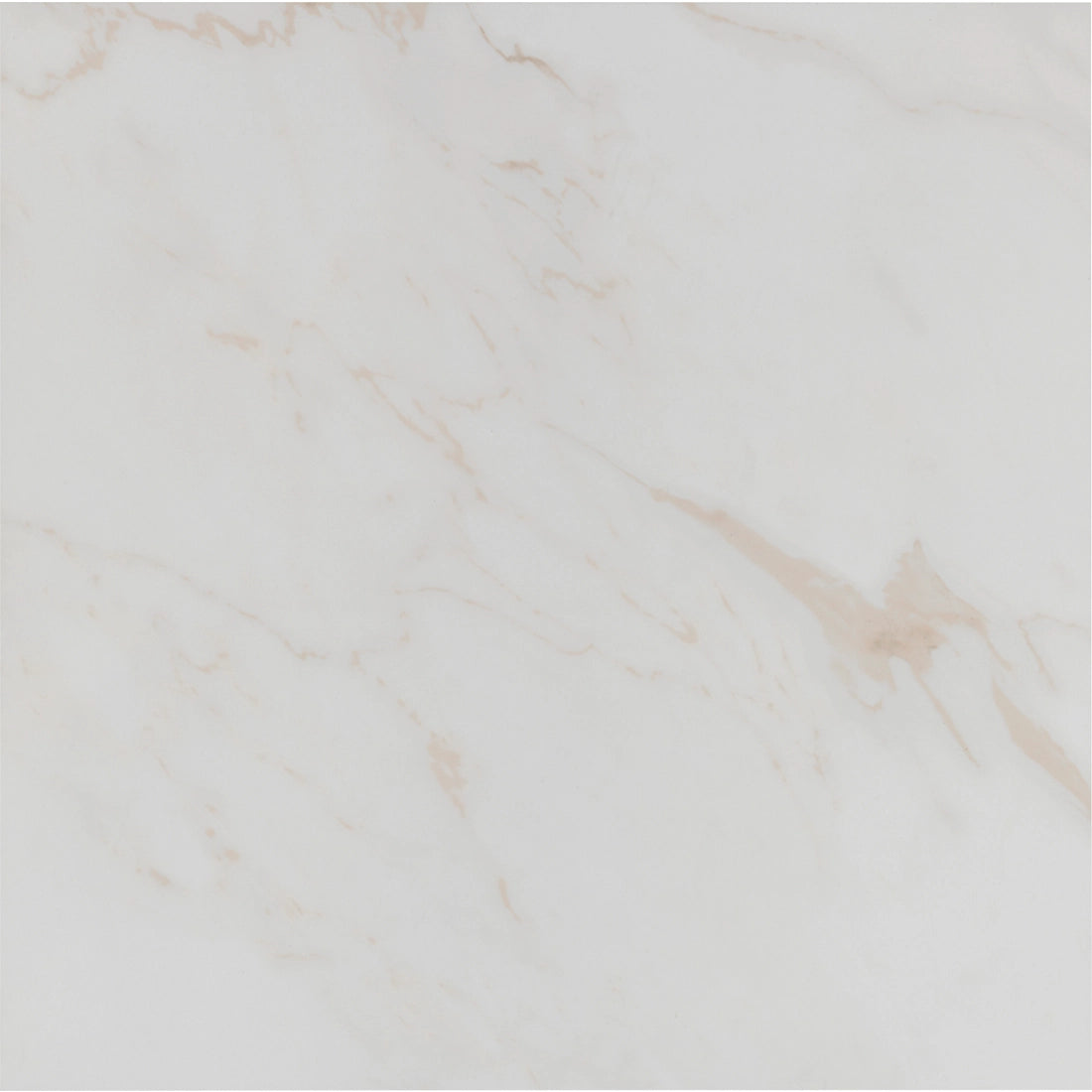 Tile Shop I Tresana 24x24 Matte White