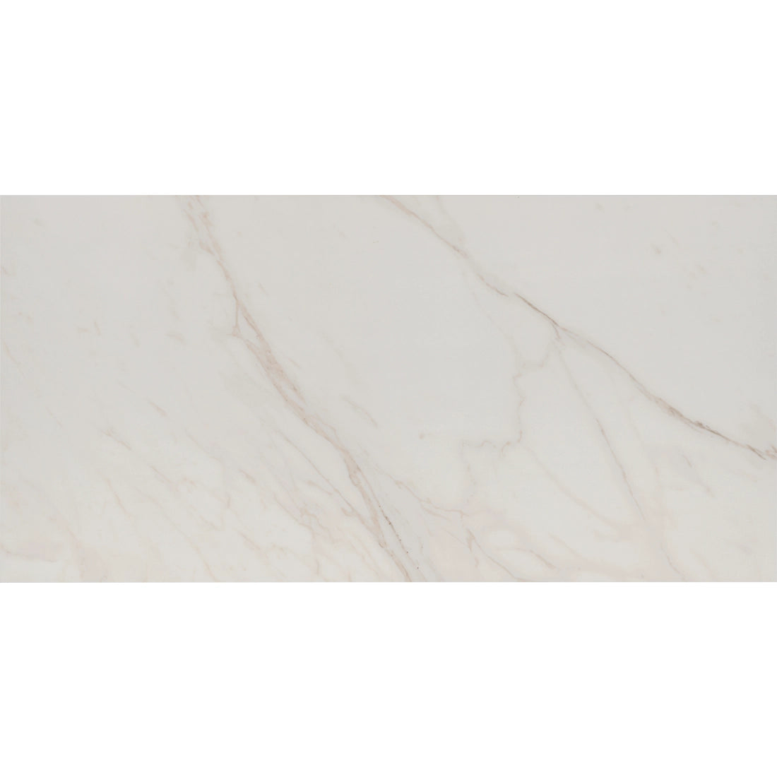 Tile Shop I Tresana 24x48 Matte White