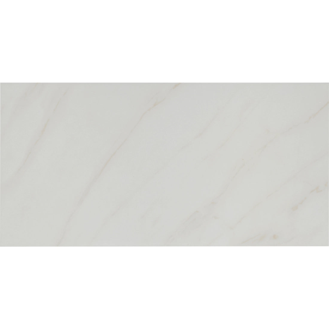 Tile Shop I Tresana 12x24 Polished White