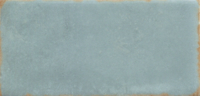 Emser Antigo 2"x5" Polished Mist