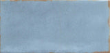 Emser Antigo 2"x5" Polished Ocean