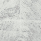 Daltile Marble 3" x 6" Polished Carrara White