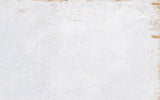Emser Cogent 10"x16"  Silver