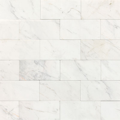 Daltile Marble 3" x 6" Polished Contempo White