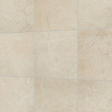 Daltile Platinum 12" x 12" Matte Almond