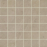 Daltile Exposition 2" x 2" Straight Joint Mosaic 12" x 12" Matte Gesso