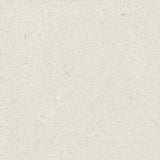 Daltile Outlander 24" x 48" Grande Satin Polished Moonlight