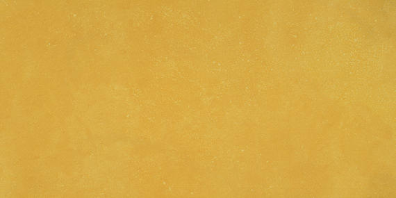 Daltile Portfolio Vivid 12" x 24" Matte Generation Z Yellow