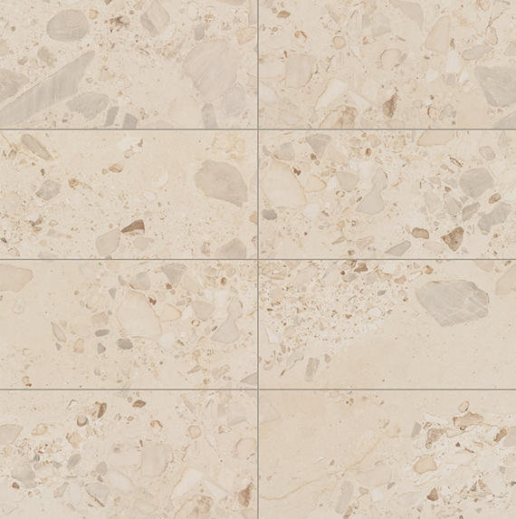 Daltile Sand And Stone 24" x 48" Stone Matte Summit