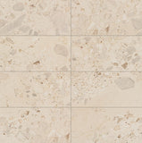 Daltile Sand And Stone 24" x 48" Stone Matte Summit