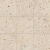 Daltile Sand And Stone 24" x 24" Stone Matte Summit