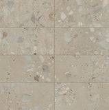 Daltile Sand And Stone 12" x 24" Stone Matte Tundra