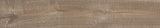 Daltile Platinum 6" x 36" Matte Natural VC02