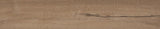 Daltile Platinum 6" x 36" Matte Honey