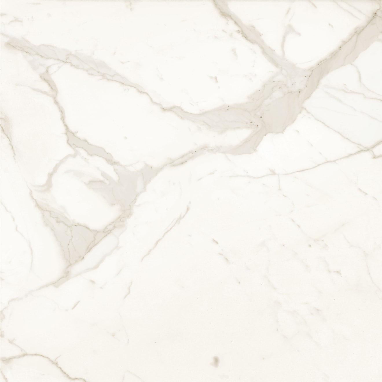 Bedrosians Magnifica The Thirties 30" x 30" Honed Calacatta Super White