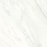 Bedrosians Magnifica The Thirties 30" x 30" Honed Luxe White