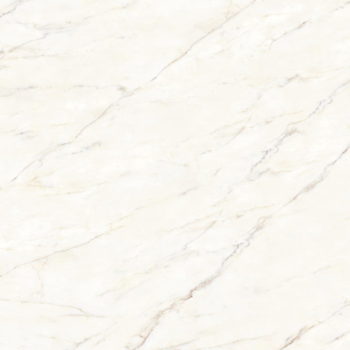 Bedrosians Magnifica The Thirties 30" x 30" Honed Calacatta Oro