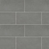 Bedrosians Metro 2.0 12"x24" Matte Nightsky