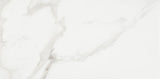 Daltile Artsy 12" X 24" Polished Studio Carrara