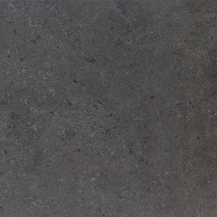 Daltile Dignitary 24" X 24" Matte Governor Black