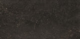 Daltile Diplomacy 20" X 40" Xterior Paver Dark Grey
