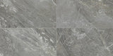 Daltile Famed 12" X 24" Matte Glamour