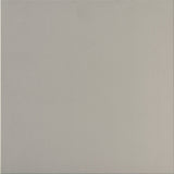 Daltile Harmonist 12" X 24" Matte Peace
