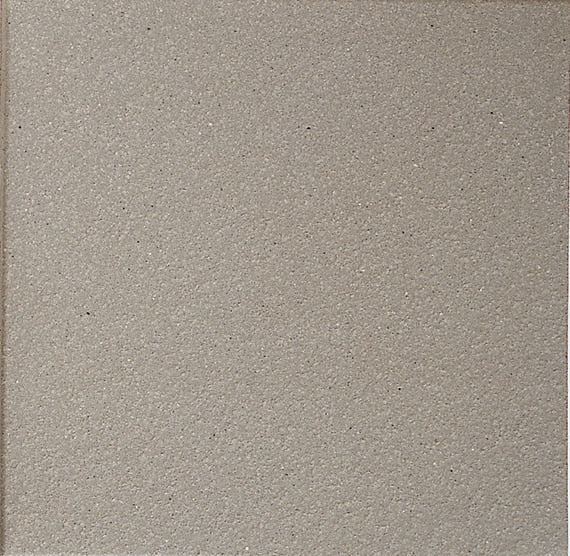 Daltile Quarry 6" X 6" Abrasive Arid Flash