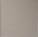 Daltile Quarry 6" X 6" Matte Arid Flash