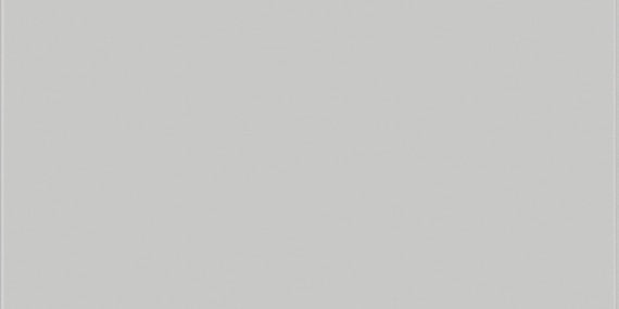 Daltile Vitruvian 4" X 16"  Grey Glossy