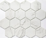 Emser Echo 10"x12" Hexagon Mosaic 3"x3" Calcata