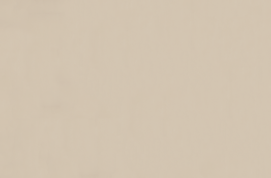 Emser Expanse 47" X 71" Matte  Solo Beige