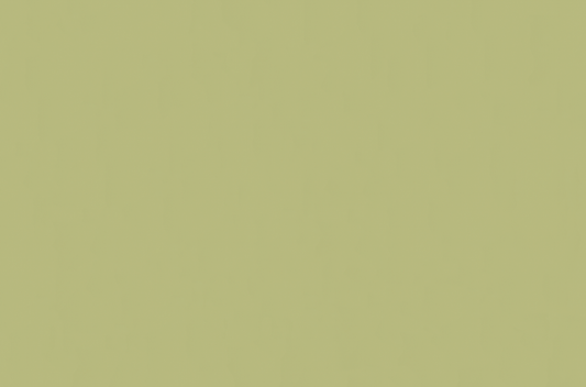 Emser Expanse 47" X 71" Matte  Solo Lime