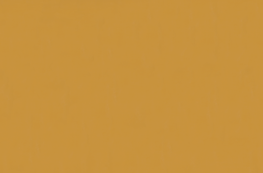 Emser Expanse 39" X 59" Matte  Solo Pumpkin