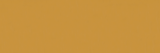 Emser Expanse 47" X 142" Matte  Solo Pumpkin