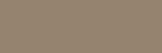 Emser Expanse 39" X 118" Matte  Solo Taupe