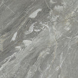 Daltile Famed 24" X 24" Polished Glamour