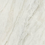 Daltile Famed 24" X 24" Matte Iconic