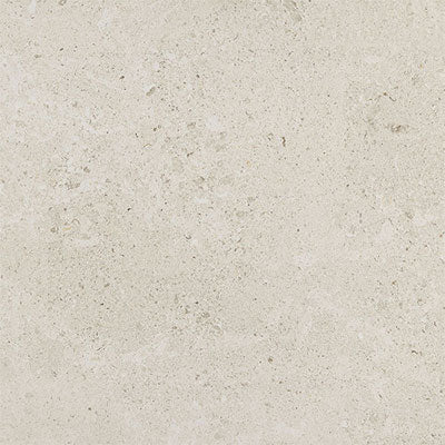 Daltile Dignitary 12" x 24" Light Polished Luminary White